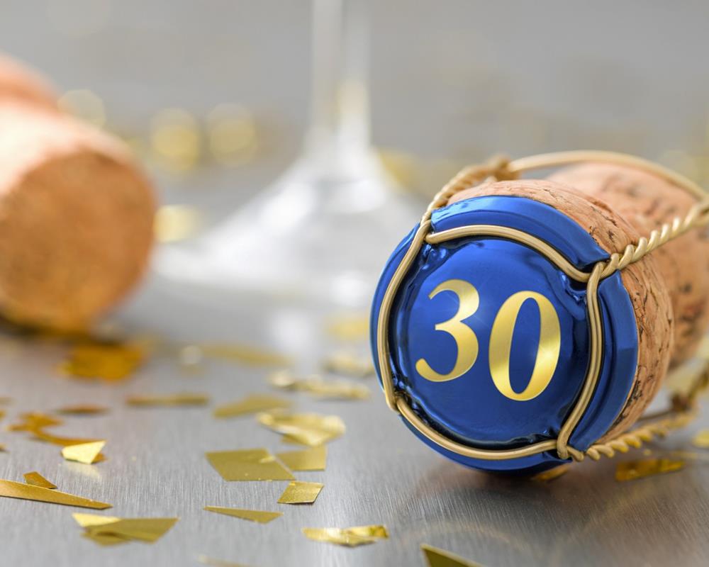 Jubiläumsjahr: 30 Jahre GUPME